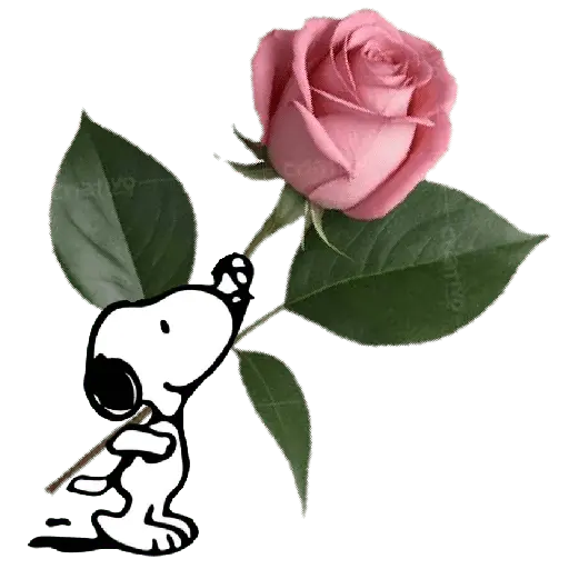 Snoopy Flowers 🌹🌹🌹