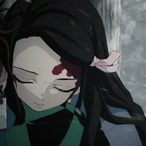 nezuko humana