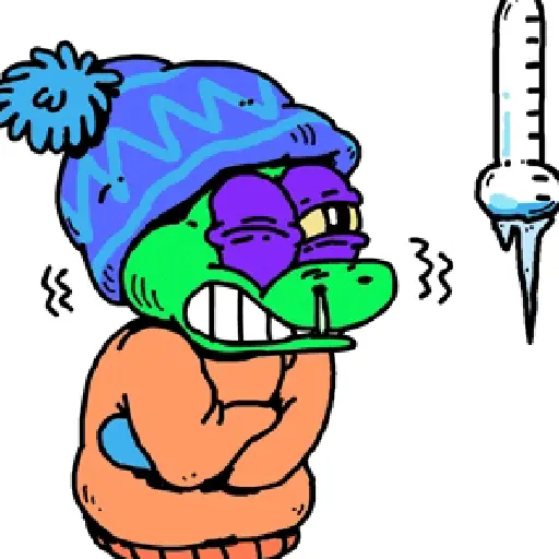 Frio