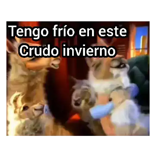Congelado 🥶❄️