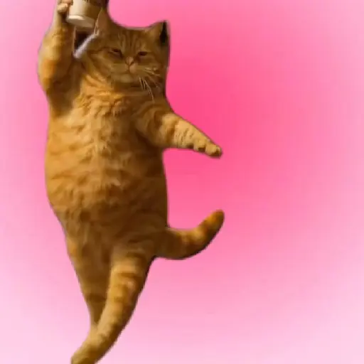 🎵 TIKTOKeando 38🎵