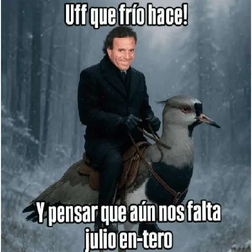 Llegó Julio(memes)📅✨