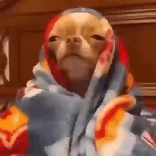 frio/inverno 