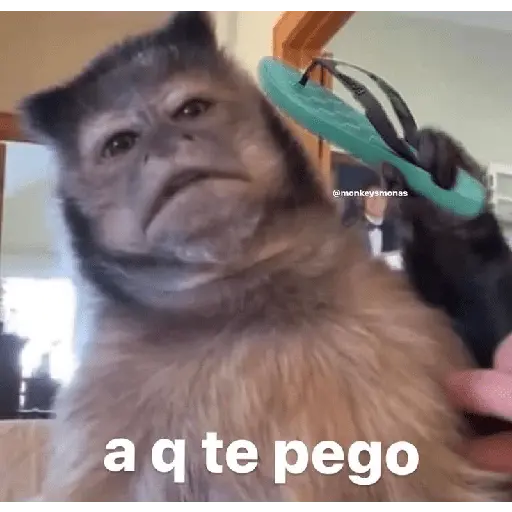🔝Más Reacciones #➊➑ 🔝