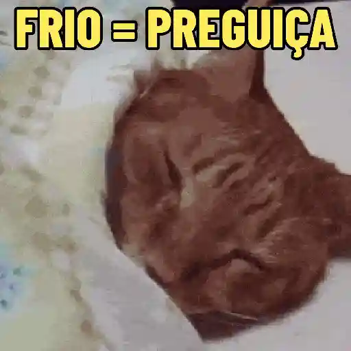 AI QUE FRIO ❄️🥶