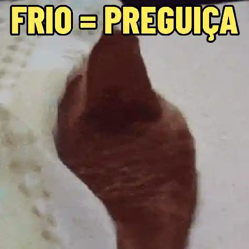 AI QUE FRIO ❄️🥶 preview