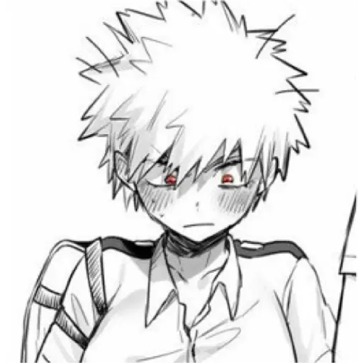 Bakugou fem