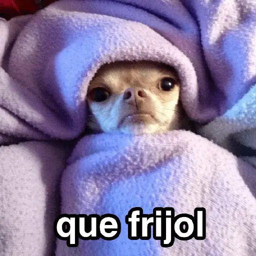Frío ✨🥶MEMES 2