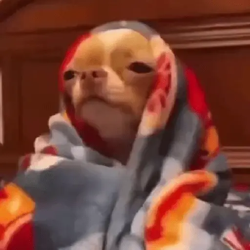 Frío ✨🥶MEMES 2