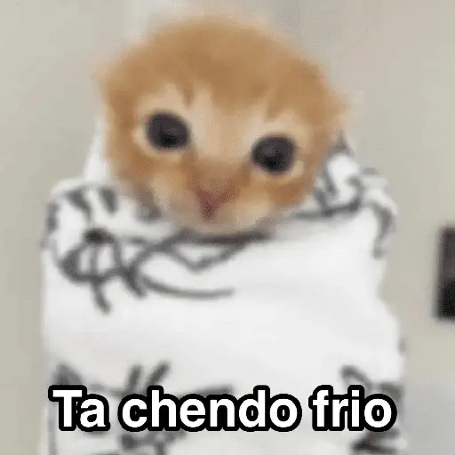 Frío ✨🥶MEMES 2