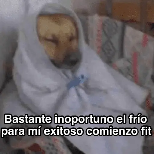 Frío ✨🥶MEMES 2