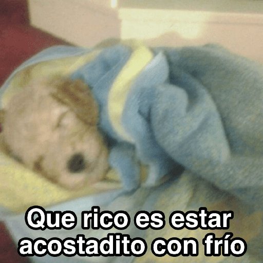 Frío ✨🥶MEMES 2 preview