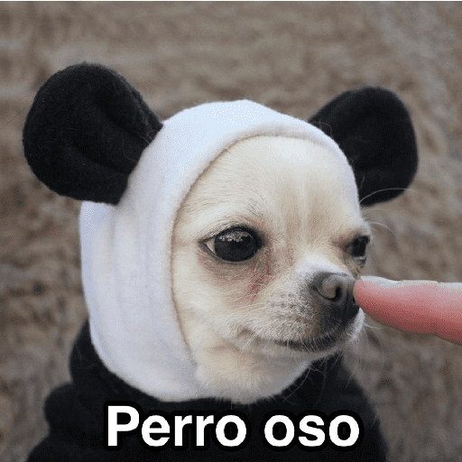 Frío ✨🥶MEMES 2 preview