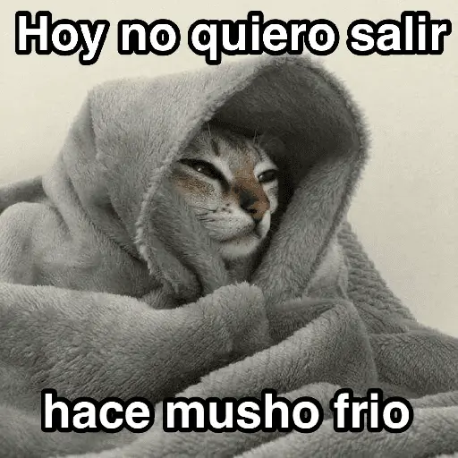 Frío ✨🥶MEMES 2