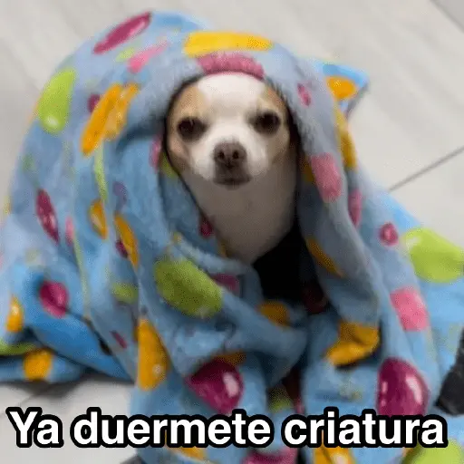 Frío ✨🥶MEMES 2