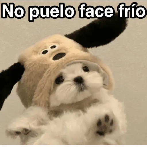 Frío ✨🥶MEMES 2
