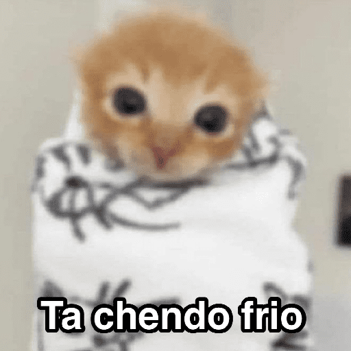 Frío ✨🥶MEMES 2 preview