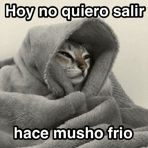 Frío ✨🥶MEMES 2 preview