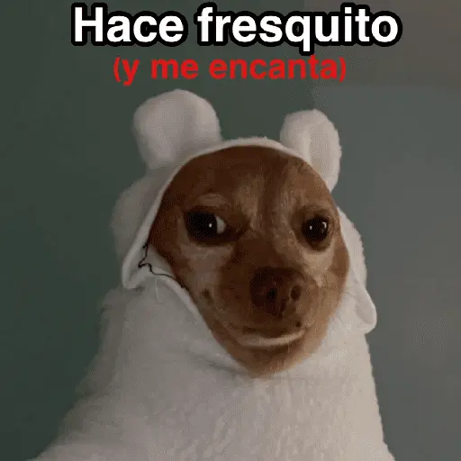 Frío ✨🥶MEMES 2