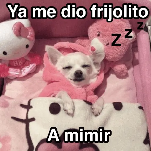 Frío ✨🥶MEMES 2