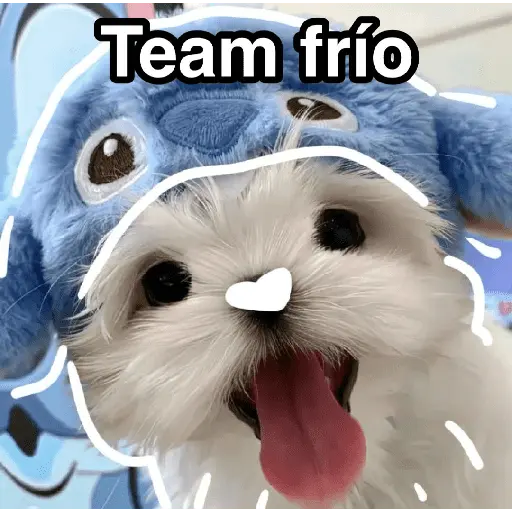 Frío ✨🥶MEMES 2
