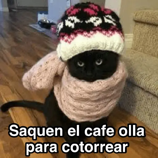 Frío ✨🥶MEMES 2