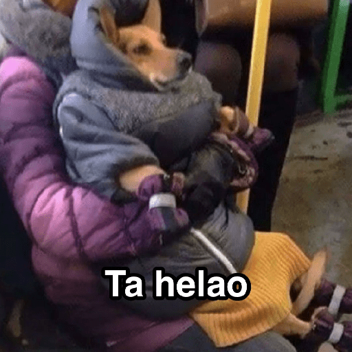Frío ✨🥶MEMES 2 preview