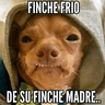 Frío ✨🥶MEMES 2