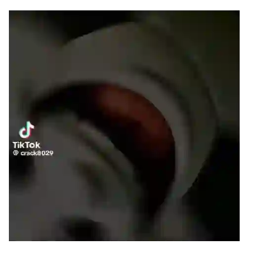 Tiktok brainrot 🔥💯