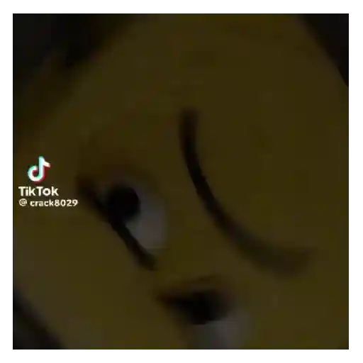 Tiktok brainrot 🔥💯