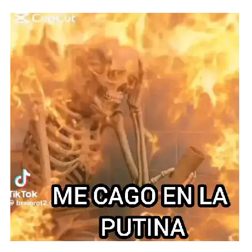 Tiktok brainrot 🔥💯