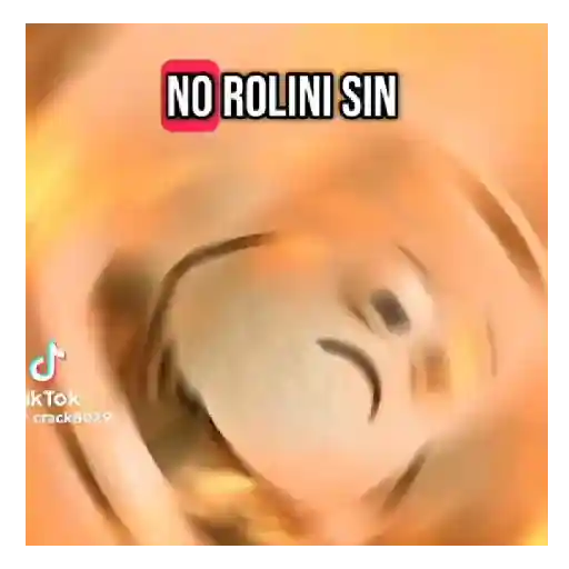 Tiktok brainrot 🔥💯