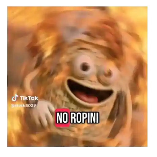 Tiktok brainrot 🔥💯