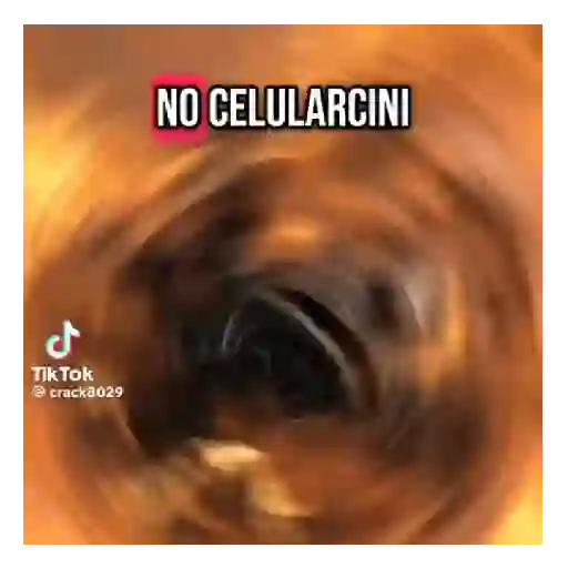 Tiktok brainrot 🔥💯