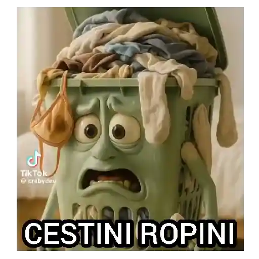 Tiktok brainrot 🔥💯