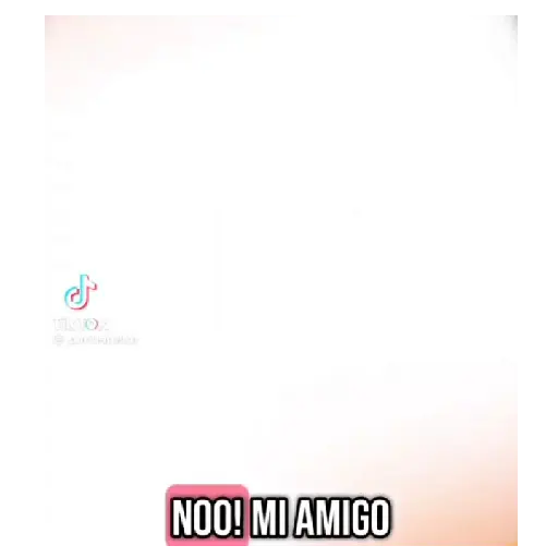 Tiktok brainrot 🔥💯