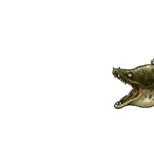 metal slug