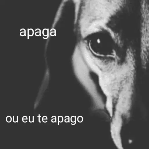 Memes. | @ocenferios  𝐇aki.
