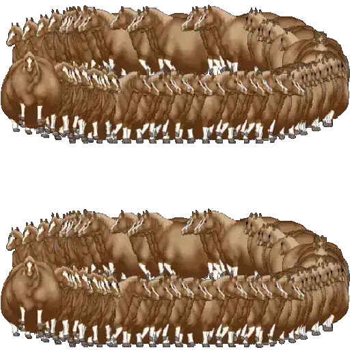 Spinning Horse | Fat Horse 🐎 preview