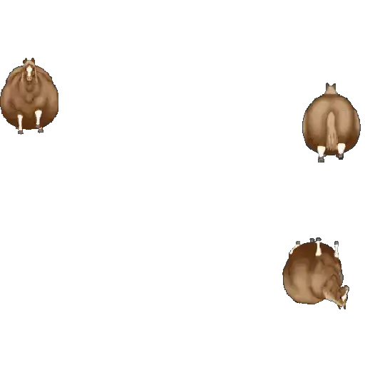 Spinning Horse | Fat Horse 🐎