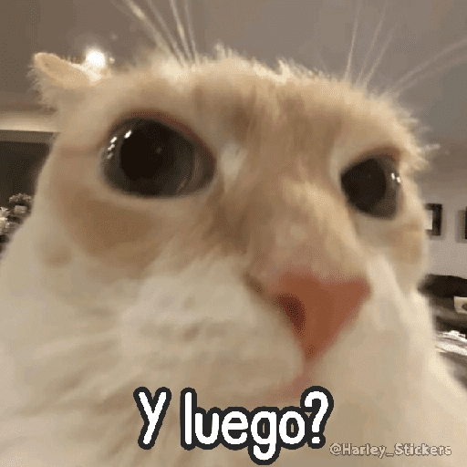 🌈🐈 Gatos MOOD 🥭🎡🏖️ preview