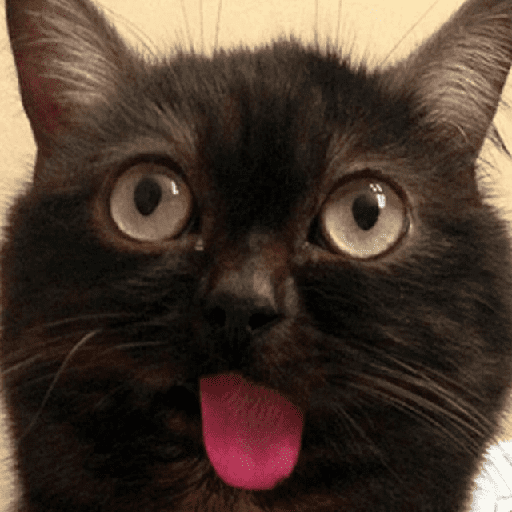 😎😎 Gatos REACCION 😎😎 preview