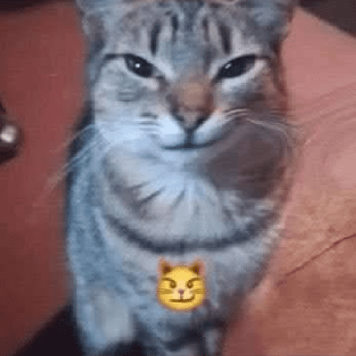 Gatitos Memes😺✨💕11 preview