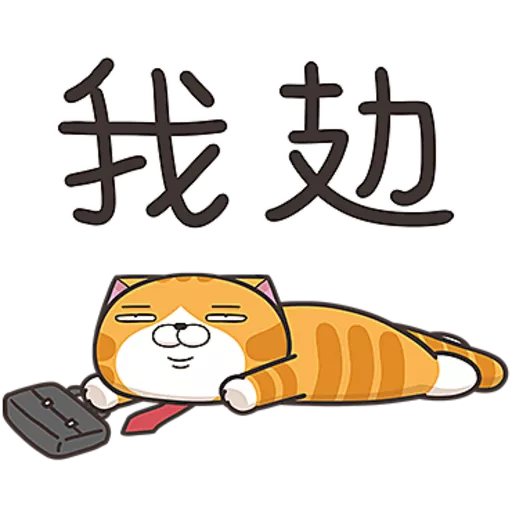 白爛貓☆第３８彈☆