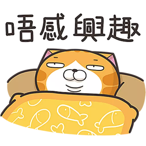 白爛貓☆第３８彈☆