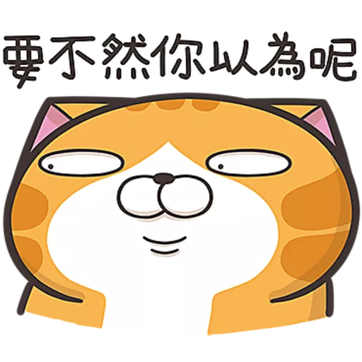 白爛貓☆第３８彈☆