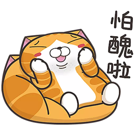 白爛貓☆第３８彈☆
