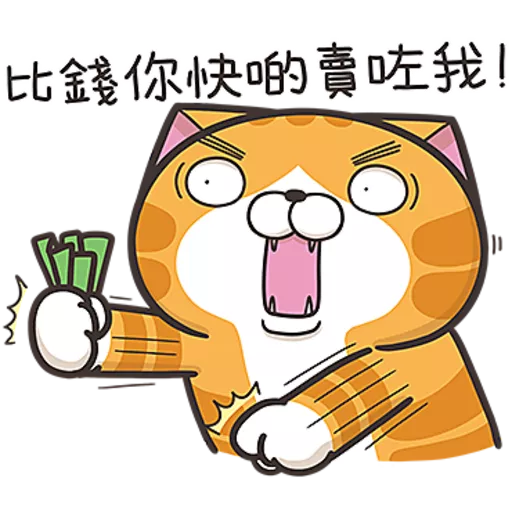 白爛貓☆第３８彈☆