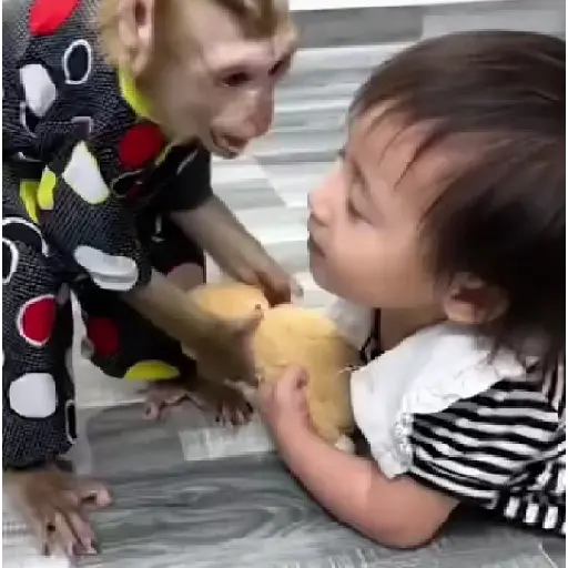 ❀ᮬ🤎⣧ ᩡᩡ Monos !©️Pochis 