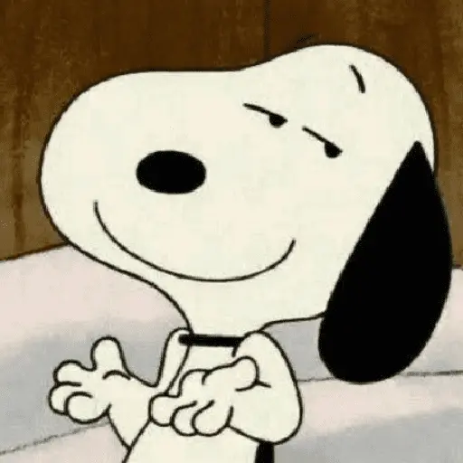 🦴🏠 SNOOPY 6 🏠🦴